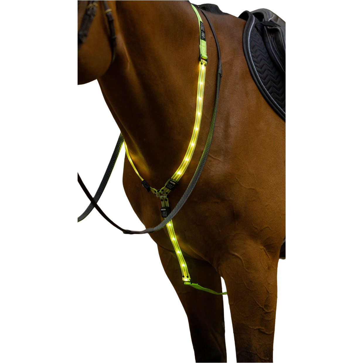 2025 Woof Wear LED Neck Band WS0035 - Hi Viz